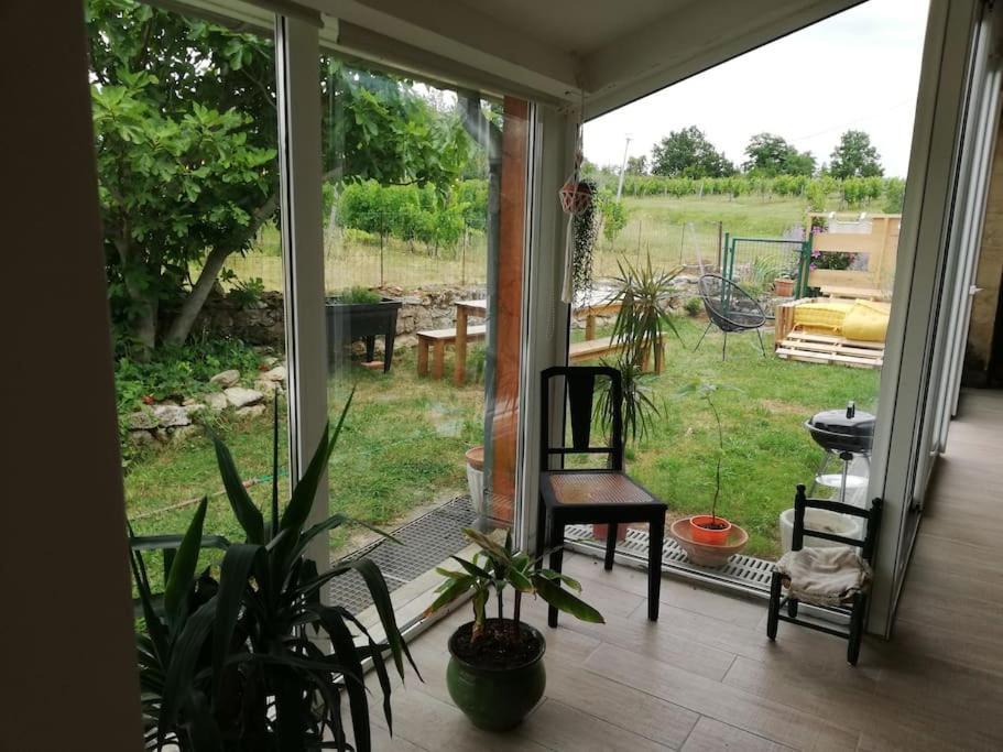Gite L'Edenwine Doulezon Kültér fotó