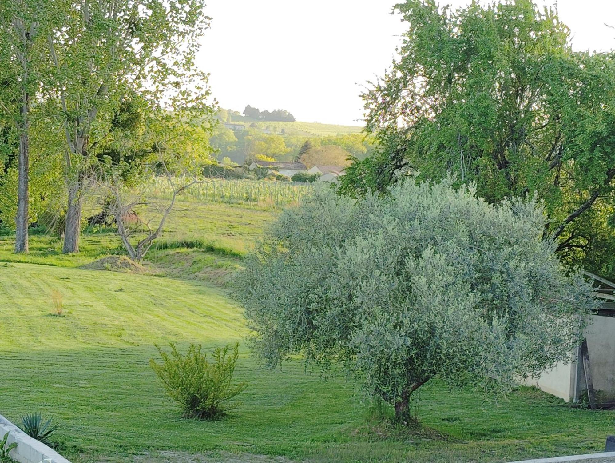 Gite L'Edenwine Doulezon Kültér fotó