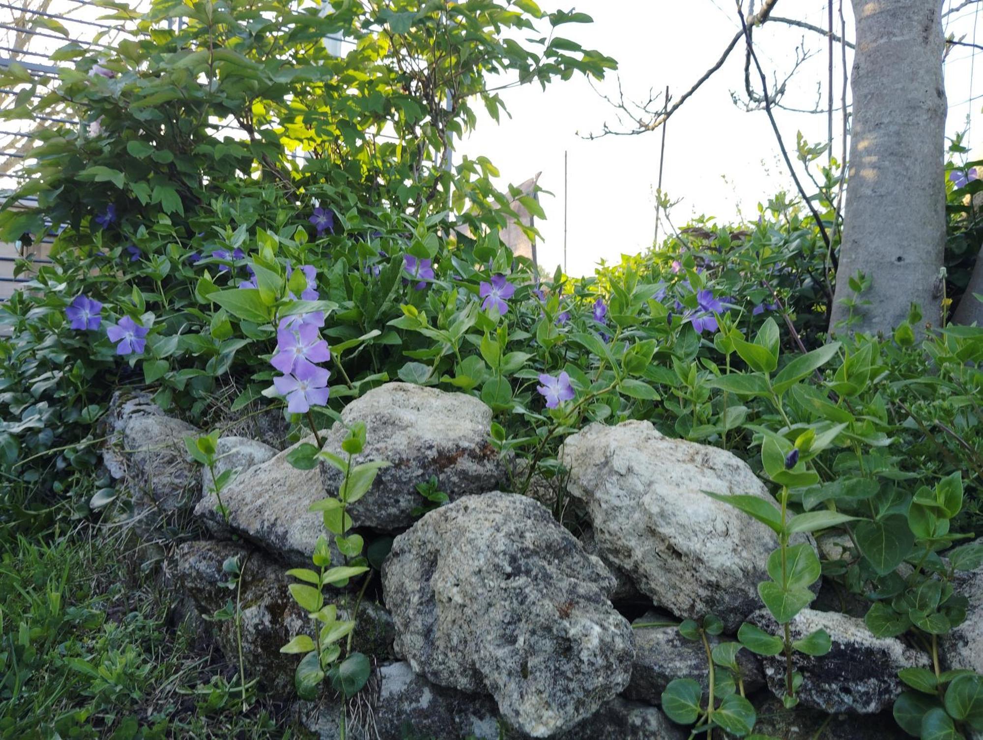 Gite L'Edenwine Doulezon Kültér fotó